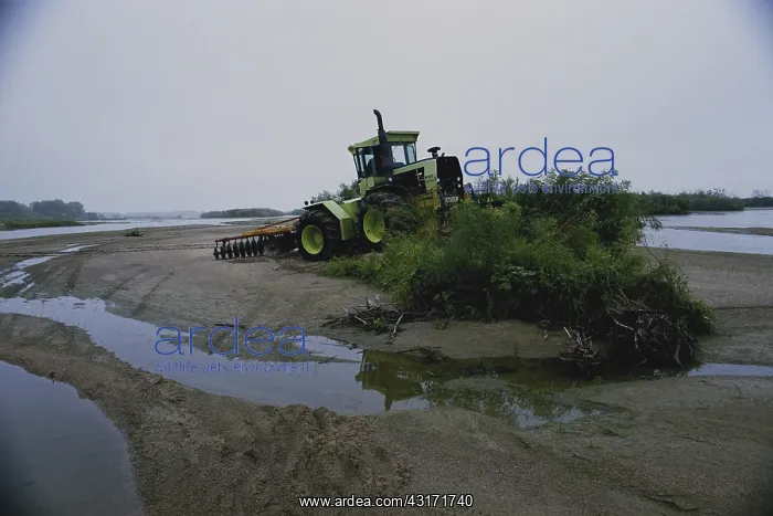  : Sandhill Crane Habitat