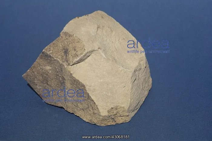 : Sandstone, a sedimentary rock : Sandstone, a sedimentary rock