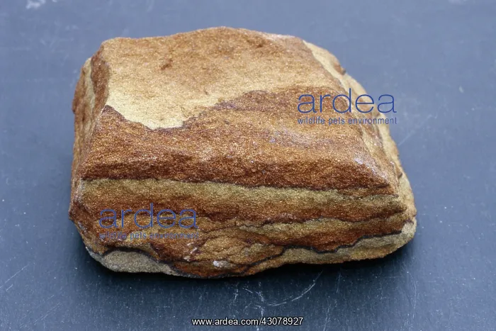 : Sandstone rocks are sedimentary rocks made from small grains of the minerals quartz : Sandstone rocks are sedimentary rocks made from small grains of the minerals quartz