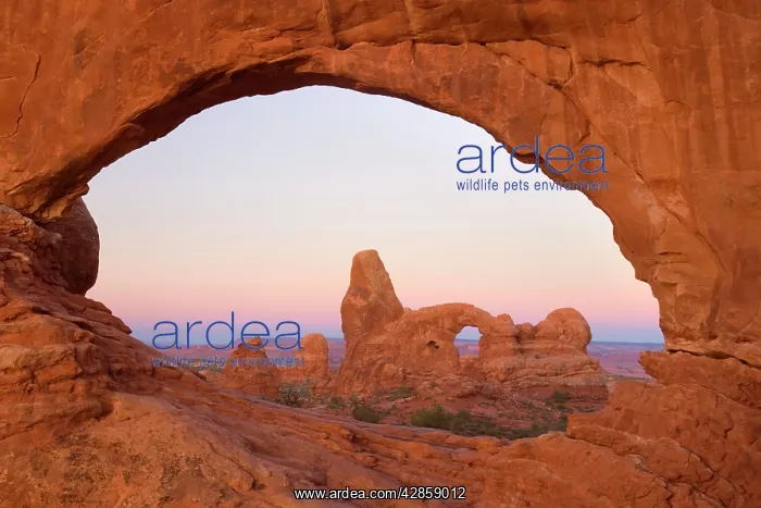 : Sandstone arches - Turret Arch seen through the : Sandstone arches - Turret Arch seen through the