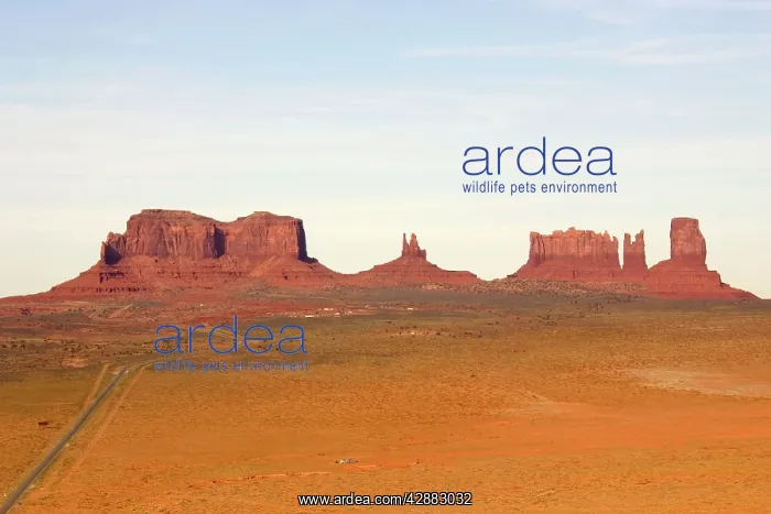 : Sandstone buttes and pinnacles : Sandstone buttes and pinnacles