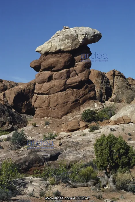 : Sandstone Caprock, Utah : Sandstone Caprock, Utah