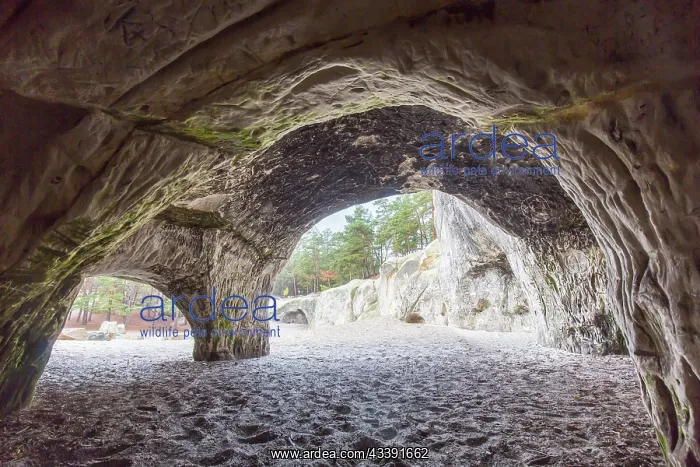 : Sandstone cave : Sandstone cave