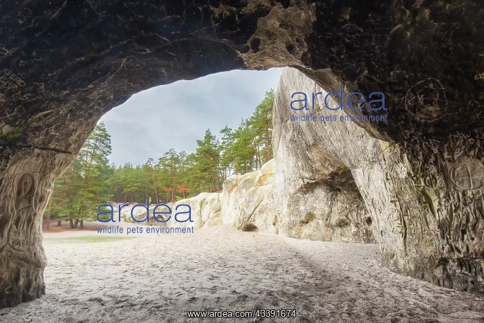: Sandstone cave : Sandstone cave