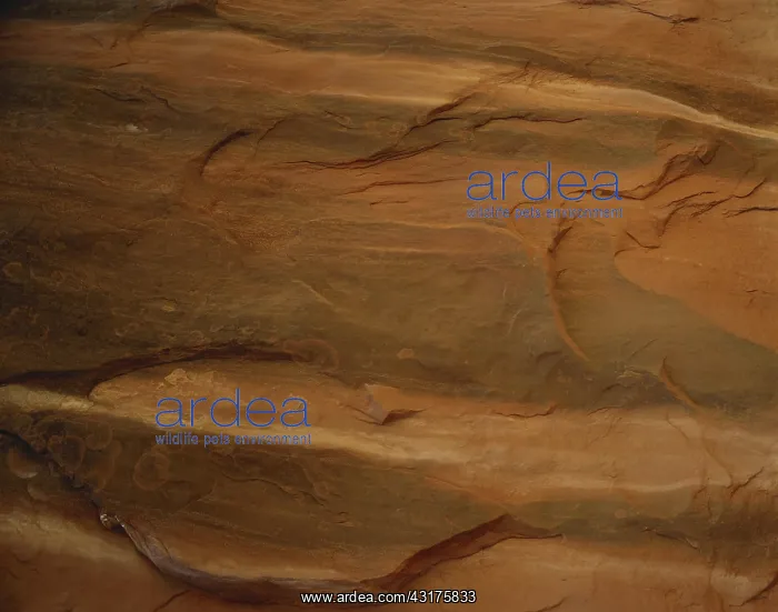 : Sandstone Cliff : Sandstone Cliff