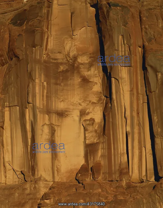 : Sandstone Cliff : Sandstone Cliff