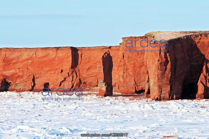 : Sandstone Cliffs : Sandstone Cliffs