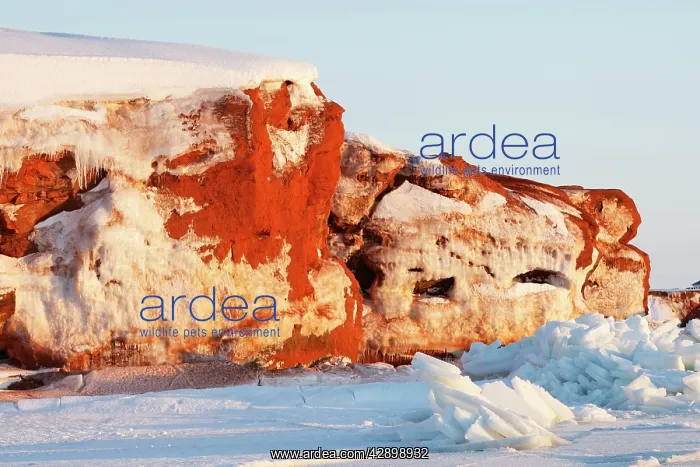: Sandstone Cliffs : Sandstone Cliffs