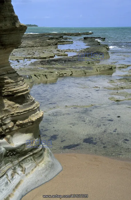 : Sandstone Cliffs : Sandstone Cliffs