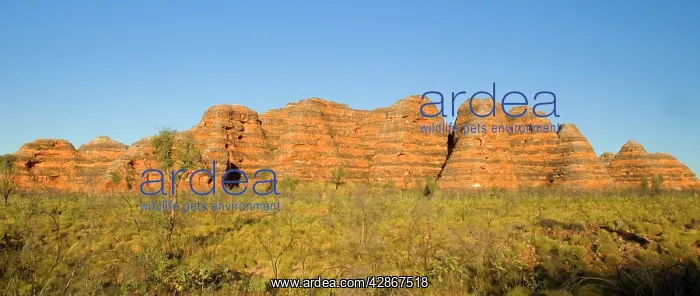 : Sandstone Domes - famous banded, beehive-shaped : Sandstone Domes - famous banded, beehive-shaped