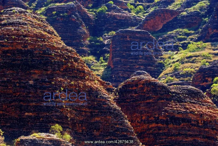 : Sandstone Domes - famous banded, beehive-shaped : Sandstone Domes - famous banded, beehive-shaped