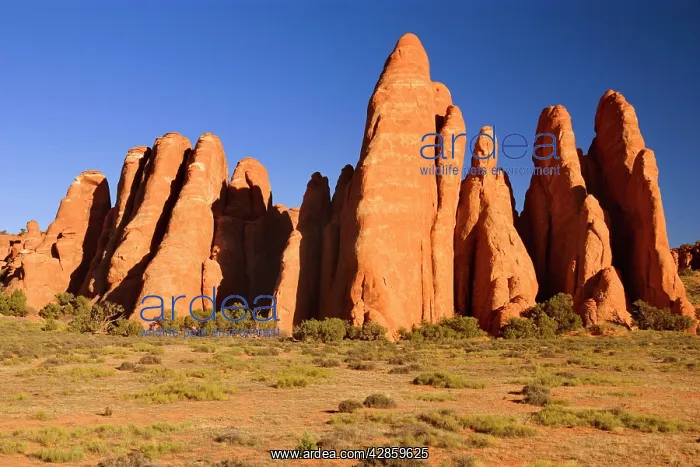 : Sandstone Fins - a group of fin-shaped red sandstone : Sandstone Fins - a group of fin-shaped red sandstone