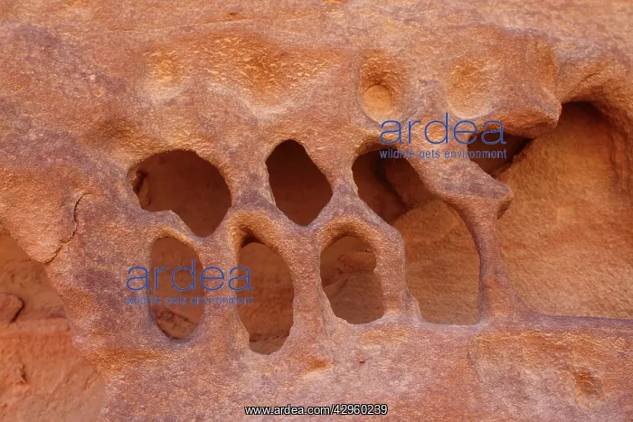 : Sandstone Formation : Sandstone Formation