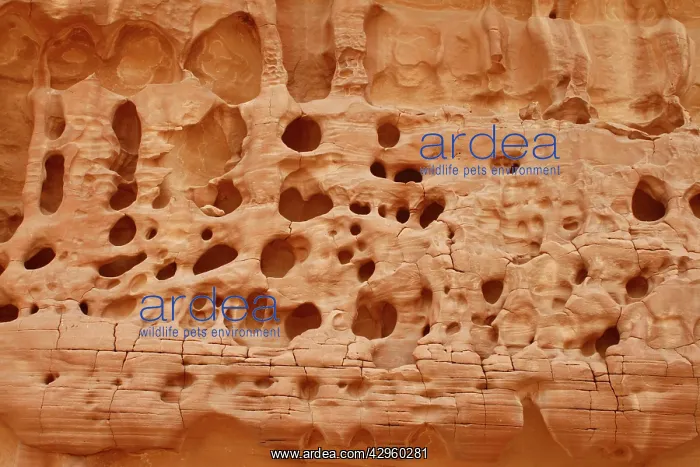 : Sandstone Formation : Sandstone Formation