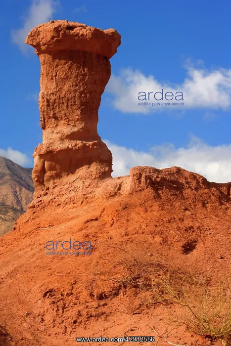: Sandstone Formation - rock formation of red sandstone : Sandstone Formation - rock formation of red sandstone