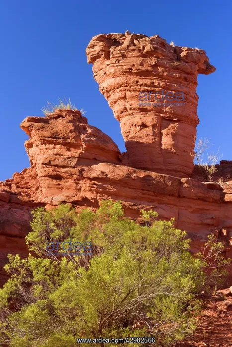 : Sandstone Formation - rock formation of red sandstone : Sandstone Formation - rock formation of red sandstone