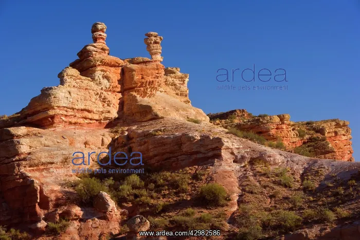 : Sandstone Formation - rock formation of red sandstone : Sandstone Formation - rock formation of red sandstone