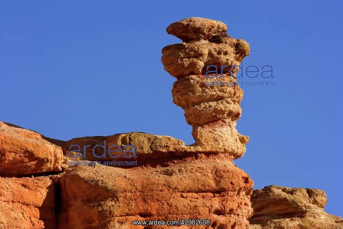 : Sandstone Formation - rock formation of red sandstone : Sandstone Formation - rock formation of red sandstone