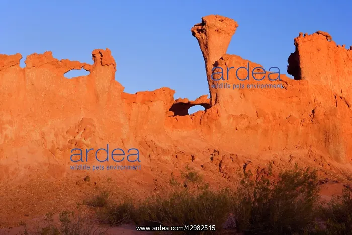: Sandstone Formation - weirdly shaped rock formation : Sandstone Formation - weirdly shaped rock formation