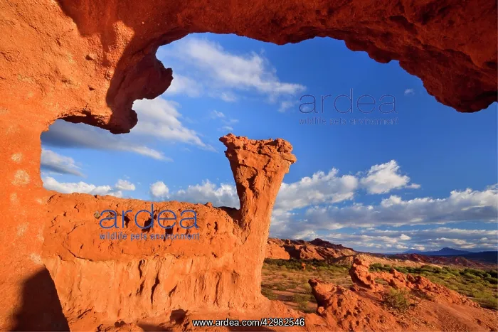 : Sandstone Formation - weirdly shaped rock formations : Sandstone Formation - weirdly shaped rock formations