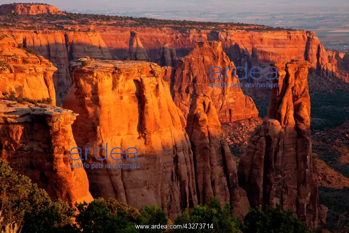 : Sandstone formations in Colorado National : Sandstone formations in Colorado National