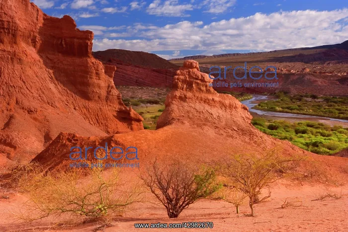 : Sandstone Formations - river Rio de La Conchas : Sandstone Formations - river Rio de La Conchas