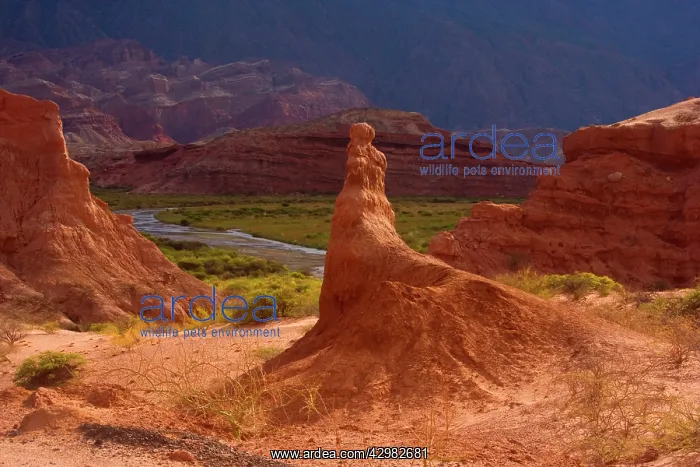 : Sandstone Formations - river Rio de La Conchas : Sandstone Formations - river Rio de La Conchas