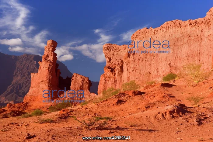 : Sandstone Formations - rock formations of red sandstone : Sandstone Formations - rock formations of red sandstone
