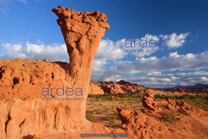 : Sandstone Formations - rock formations of red sandstone : Sandstone Formations - rock formations of red sandstone