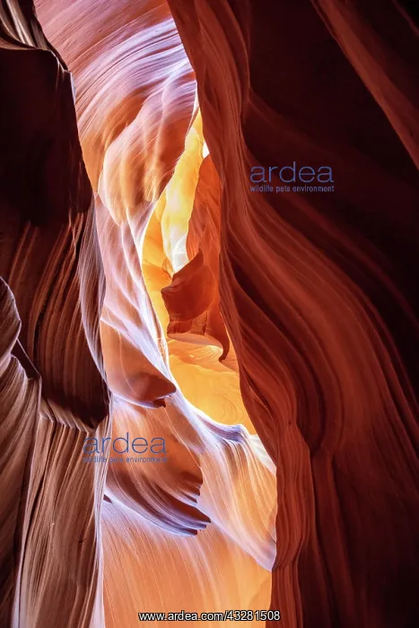 : Sandstone Formations in Sandstone Canyon, Slot Canyon : Sandstone Formations in Sandstone Canyon, Slot Canyon