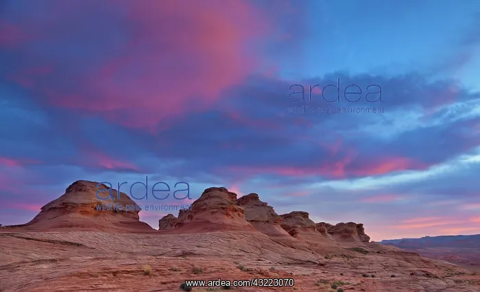 : Sandstone formations at sunset near Page : Sandstone formations at sunset near Page
