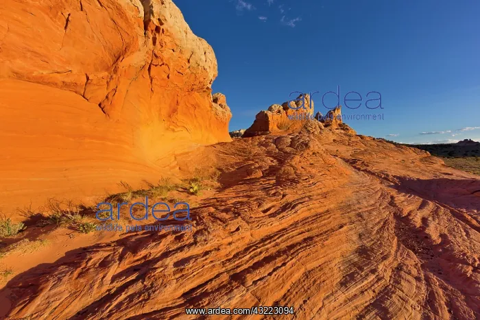 : Sandstone formations at the White Pocket : Sandstone formations at the White Pocket