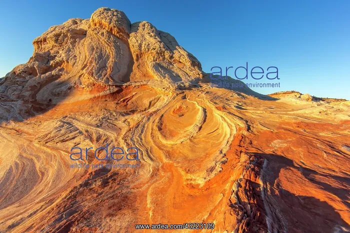 : Sandstone formations at the White Pocket : Sandstone formations at the White Pocket