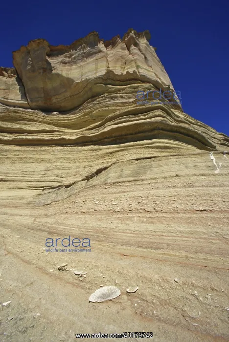 : Sandstone Layers : Sandstone Layers
