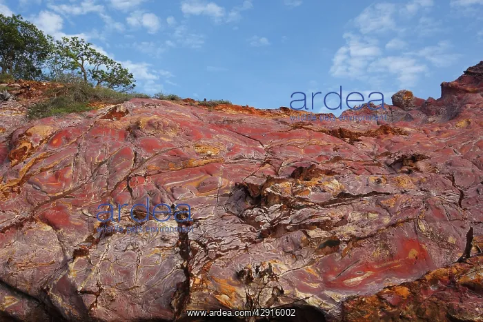 : Sandstone - pink with oxydation & minerals including : Sandstone - pink with oxydation & minerals including