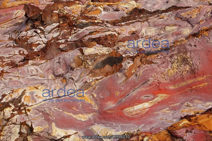 : Sandstone - pink with oxydation & minerals including : Sandstone - pink with oxydation & minerals including