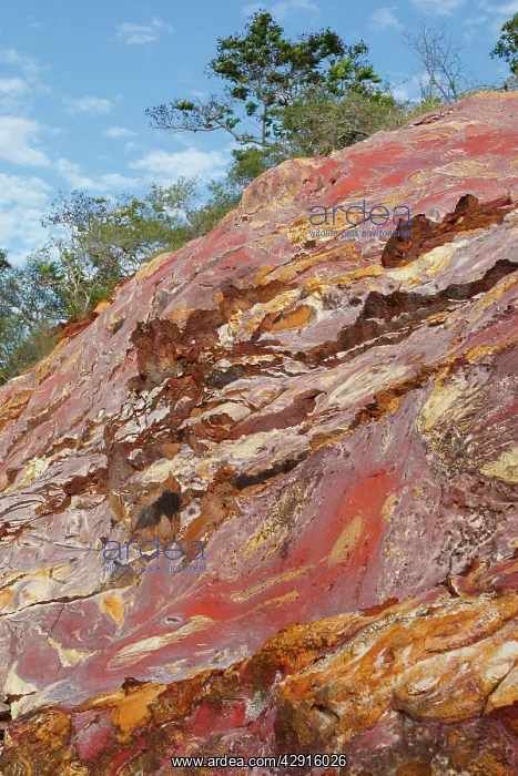  : Sandstone - pink with oxydation & minerals including