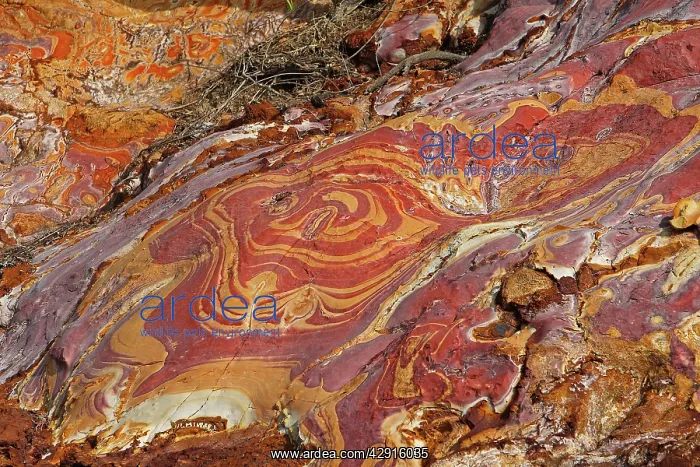 : Sandstone - pink with oxydation & minerals including : Sandstone - pink with oxydation & minerals including