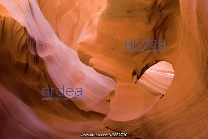 : Sandstone rock in the Lower Antelope Canyon, probably : Sandstone rock in the Lower Antelope Canyon, probably