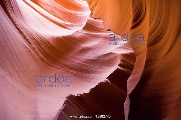 : Sandstone rock in the Lower Antelope Canyon, probably : Sandstone rock in the Lower Antelope Canyon, probably