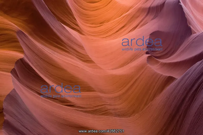 : Sandstone rock in the Lower Antelope Canyon, probably : Sandstone rock in the Lower Antelope Canyon, probably