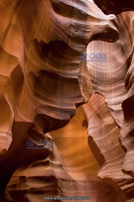 : Sandstone rock in the Upper Antelope Canyon, probably : Sandstone rock in the Upper Antelope Canyon, probably