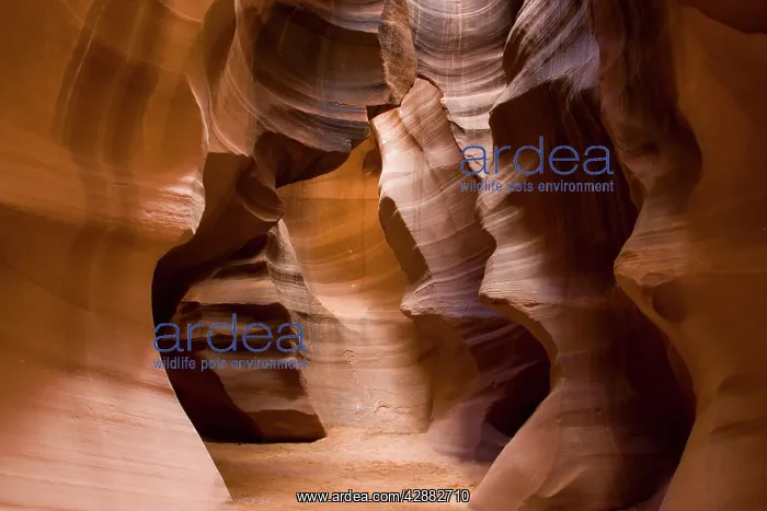 : sandstone rock in the Upper Antelope Canyon, probably : sandstone rock in the Upper Antelope Canyon, probably
