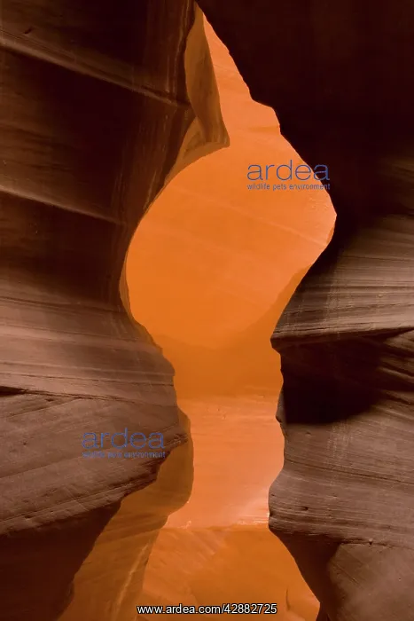 : Sandstone rock in the Upper Antelope Canyon, probably : Sandstone rock in the Upper Antelope Canyon, probably