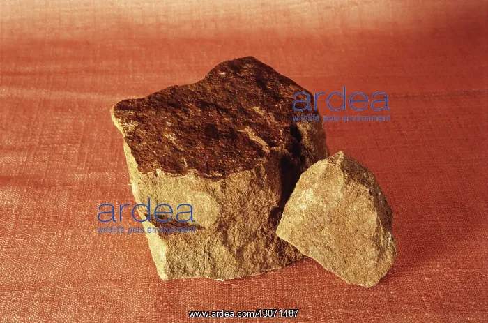 : Sandstone, a sedimentary rock : Sandstone, a sedimentary rock