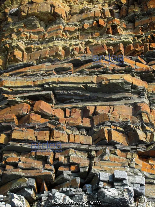 : Sandstone Strata : Sandstone Strata