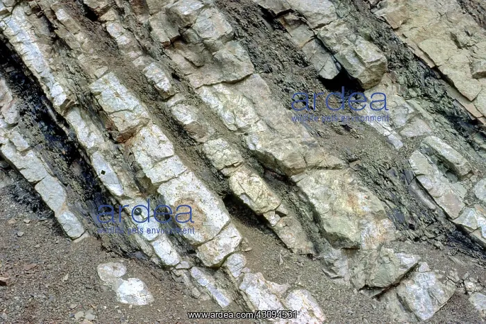 : Sandstones and shales, Canada : Sandstones and shales, Canada