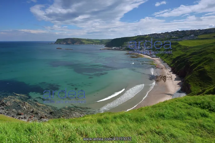 : Sandy bay of Gardenstown, Banffshire, Scotland : Sandy bay of Gardenstown, Banffshire, Scotland
