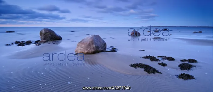 : Sandy beach beach with large boulders and seaweed : Sandy beach beach with large boulders and seaweed