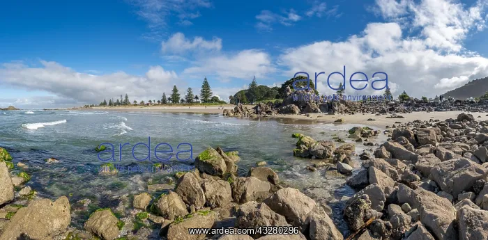 : Sandy beach beach of Mount Manganui, Tauranga, Bay : Sandy beach beach of Mount Manganui, Tauranga, Bay